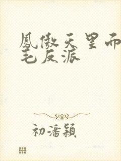 凤傲天里面的黄毛反派