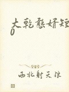 大乾憨婿短剧60