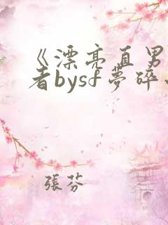 《漂亮直男》作者bysf梦碎小说笔趣阁