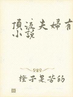 顶流夫妇有点甜小说