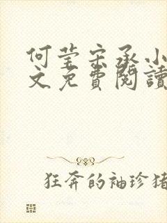 何莹宋承小说全文免费阅读