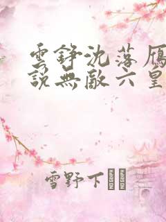 云铮沈落雁的小说无敌六皇子