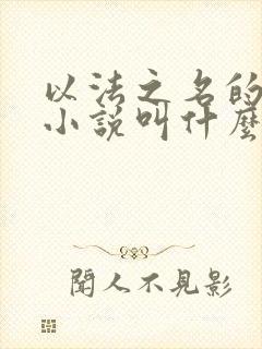 以法之名的原著小说叫什么