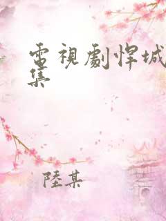 电视剧悍城40集