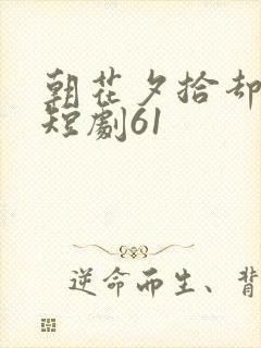 朝花夕拾却已迟短剧61