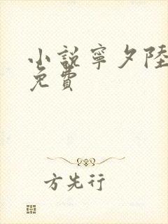 小说宁夕陆霆骁免费