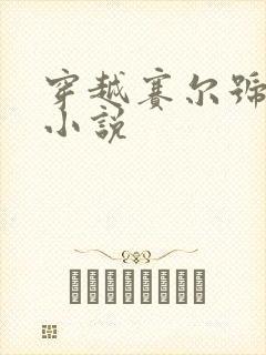 穿越赛尔号话本小说