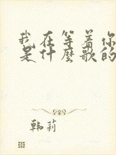 我在等着你回来是什么歌的歌词