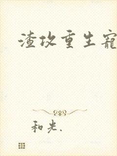 渣攻重生宠受文