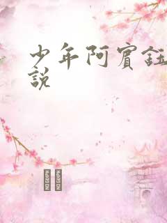 少年阿宾钰慧小说