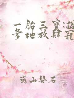 一胎三宝:总裁爹地放肆宠