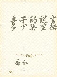 妻子的谎言一共多少集完结