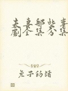 夫妻那些事电视剧全集分集剧情介绍