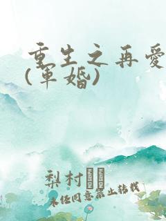 重生之再爱一次(军婚)