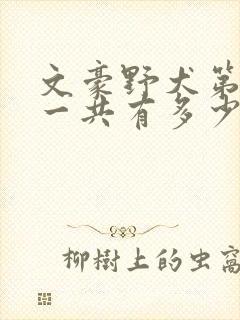 文豪野犬第一季一共有多少集