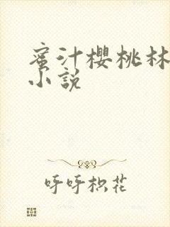 蜜汁樱桃林妙妙小说