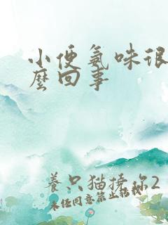 小便氨味很重怎么回事