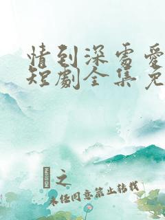 情到深处爱意浓短剧全集免费播放下