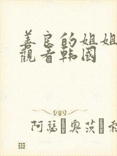 善良的姐姐在线观看韩国