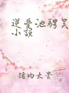 逆爱池骋吴所畏小说
