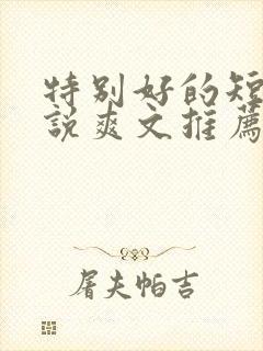 特别好的短篇小说爽文推荐