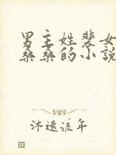 男主姓裴女主叫桑桑的小说