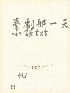 台剧那一天原著小说txt