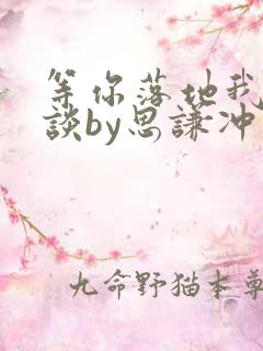 等你落地我们再谈by思谦冲