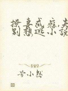 撩妻成瘾,夫人别想逃小说