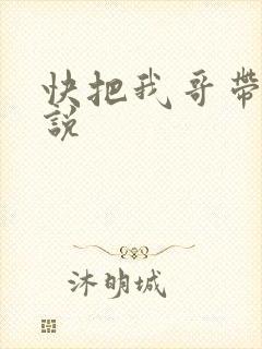 快把我哥带走小说
