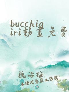 bucchigiri动画免费观看