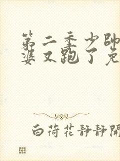 第二季少帅你老婆又跑了免费观看