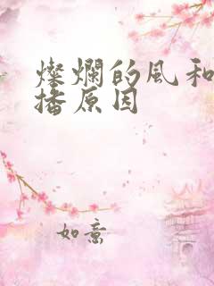 灿烂的风和海停播原因