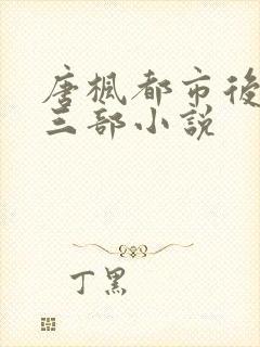 唐枫都市后宫第三部小说