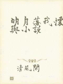 明月落我怀陆淮与小说