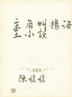 主角叫杨洛的兵王小说