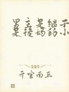 男主是继子女主是后妈的小说