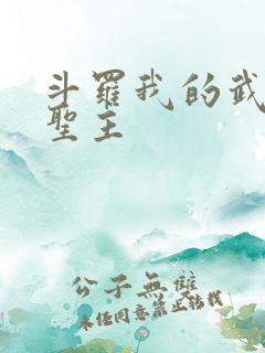 斗罗我的武魂是圣主