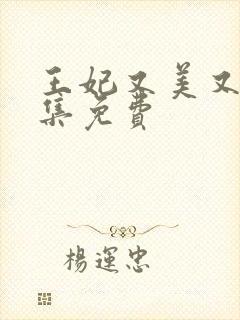 王妃又美又飒全集免费