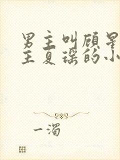 男主叫顾星熠女主夏瑶的小说