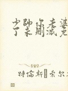 少帅你老婆又跑了未删减免费阅读