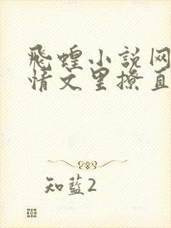 飞蝗小说网在言情文里撩直男男主