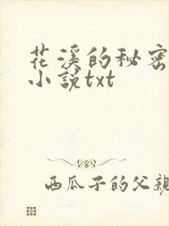 花溪的秘密原著小说txt