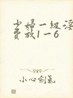 少妇一级淫片免费放1一6