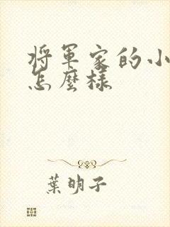 将军家的小娘子怎么样