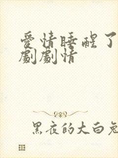 爱情睡醒了电视剧剧情