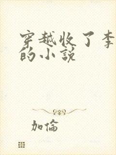 穿越收了李青萝的小说