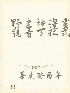 野良神漫画免费观看下拉式