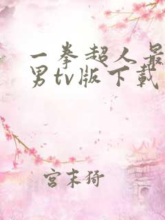 一拳超人最强之男tv版下载