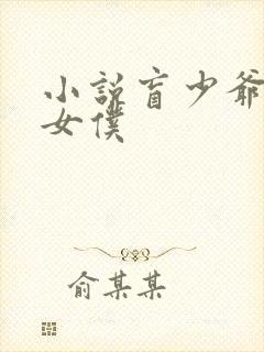 小说盲少爷的小女仆